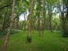 Anna Page Park - South