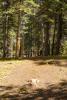 Cross Creek Disc Golf Course