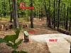 Treehouz at Branson Cedars Resort