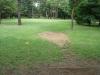 Showa Kinen Park