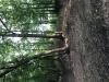 Feyodi Creek Disc Golf Course 