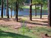 Flat Rock Park Disc Golf Course