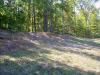 Deer Lick Park