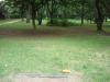 Showa Kinen Park
