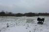 Valbyparken Disc Golf Park