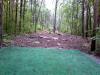 Flying Dragon Disc Golf Course