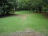 Showa Kinen Park