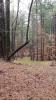Lake Claiborne State Park - Whitetail Course