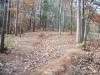 Sandy Creek Park