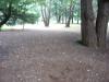 Showa Kinen Park