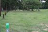 Hole 1. 256 ft.There is a tree mid way on the right hand side. Behind the basket are some trees.