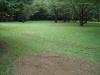 Showa Kinen Park