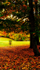 Flat Rocks Disc Golf Course