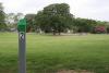 Hole 1. 256 ft.There is a tree mid way on the right hand side. Behind the basket are some trees.