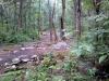 Flying Dragon Disc Golf Course
