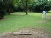 Showa Kinen Park