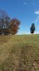 Moneta Disc Golf Course