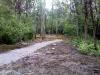Flying Dragon Disc Golf Course