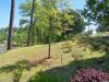 The Players Course at Lake Olmstead