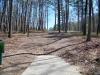 Steady Ed Headrick Memorial Disc Golf Course