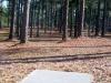 McCurry Park