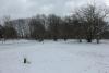Valbyparken Disc Golf Park