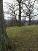 Phillips Park