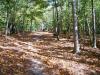 Sequoyah Park