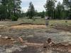 Wood Land