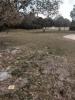 Mosquito Creek 