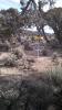 Ward Mountain Disc Golf Course