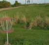 East Union School Disc Golf Course