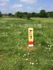 Royal Berkshire Disc Golf Course
