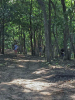 Roatan Disc Golf