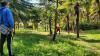 Kunshan City Ecological Forest Park