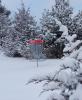 Stone's Throw Disc Golf