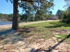 Paul B. Johnson State Park - Kit Fox