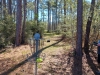 Paul B. Johnson State Park - Kit Fox
