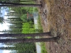 Judas Creek Disc Golf