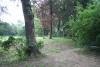 Hole 1. 256 ft.There is a tree mid way on the right hand side. Behind the basket are some trees.