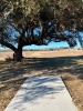 Citizens Lodge Disc Golf Course