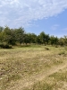 Rocky Top Preserve