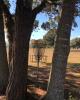 Moccasin Creek Disc Golf Course
