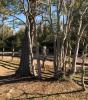 Moccasin Creek Disc Golf Course