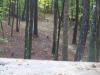 East Roswell Park