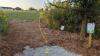 Autumn Creek Disc Golf Course