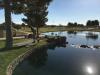 Maricopa Meadows