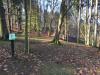 DiscGolfPark Mertovy Sady