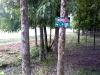 Flying Dragon Disc Golf Course