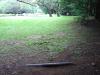 Showa Kinen Park